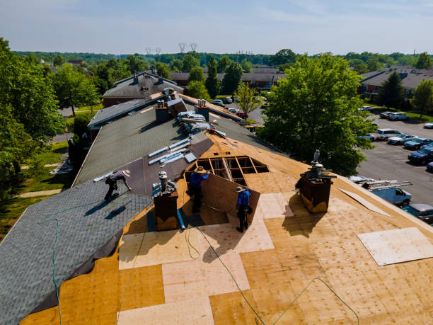 Trusted Roof Replacement service in Powderly, TX - Brentwood Metal Roofing